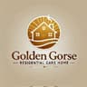 Golden Gorse